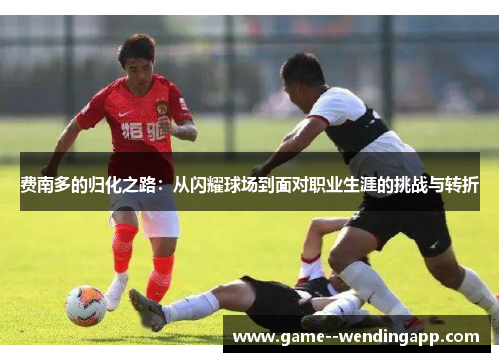 费南多的归化之路：从闪耀球场到面对职业生涯的挑战与转折