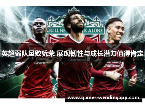 英超弱队虽败犹荣 展现韧性与成长潜力值得肯定