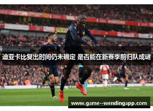 迪亚卡比复出时间仍未确定 是否能在新赛季前归队成谜