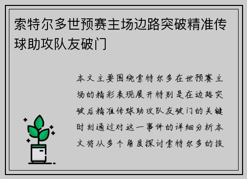 索特尔多世预赛主场边路突破精准传球助攻队友破门 索特尔多世预赛主场边路突破精准传球助攻队友破门