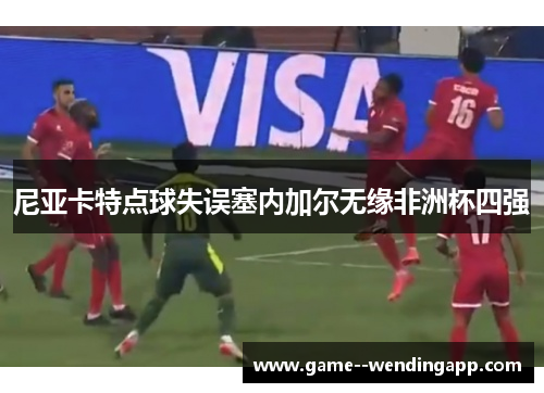 尼亚卡特点球失误塞内加尔无缘非洲杯四强 尼亚卡特点球失误塞内加尔无缘非洲杯四强
